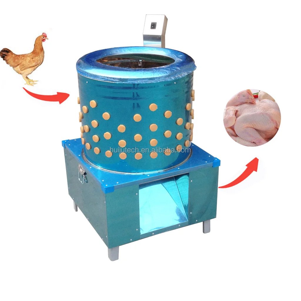 những trận gà đá đẳng cấp những trận gà đá đẳng cấp