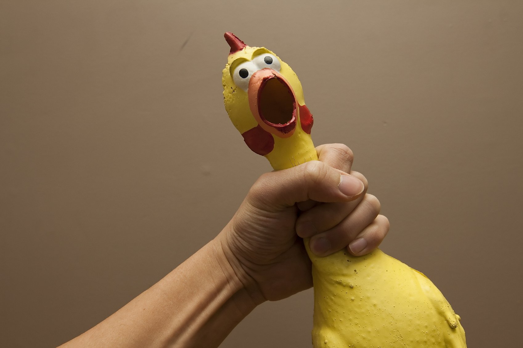 đĩa đá gà đĩa đá gà