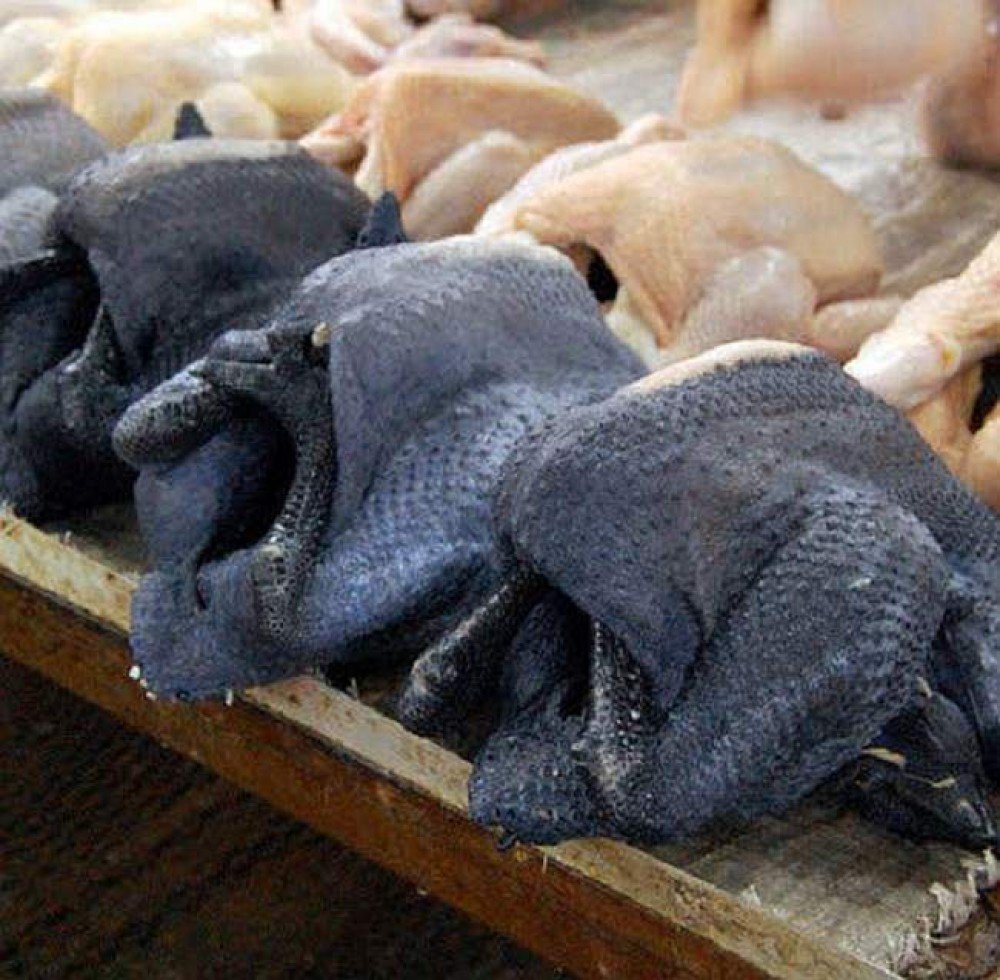 xem đá gà trực tiếp 68