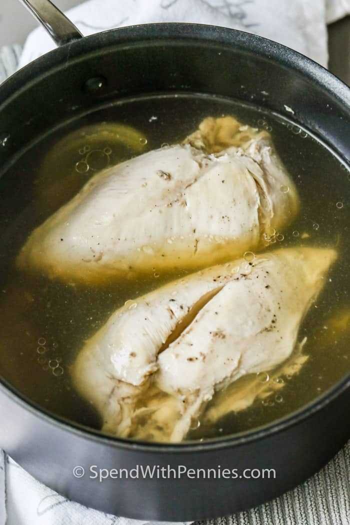 nghệ gà đá nghệ gà đá