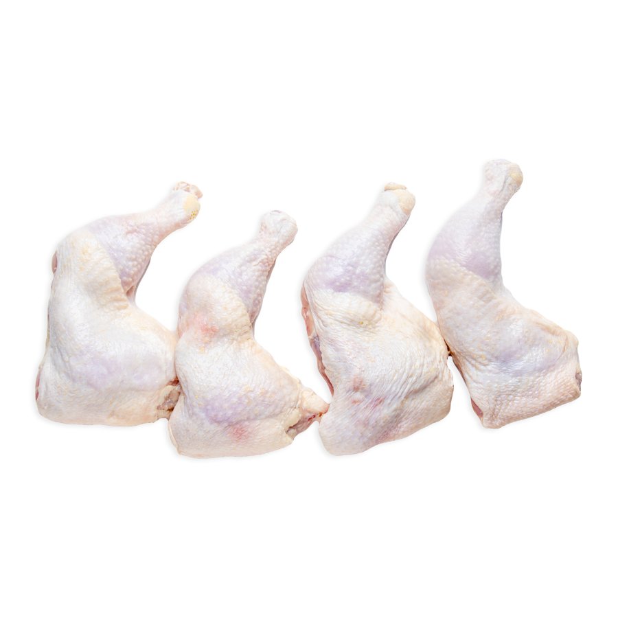 Xem và Dự Đoán Kết Quả Đá Gà Thomo 10/10 đầy Kịch Tính